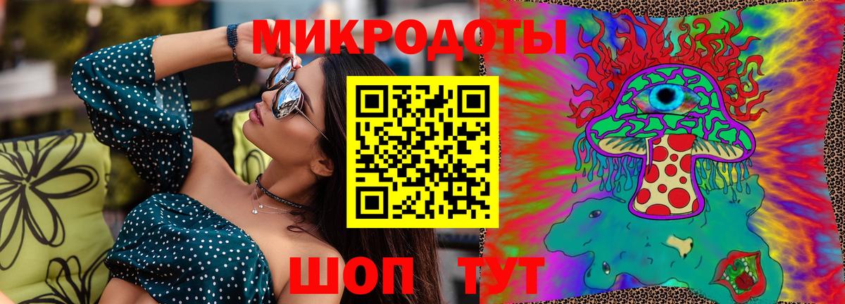 Псилоцибиновые грибы Psilocybe Михайловка
