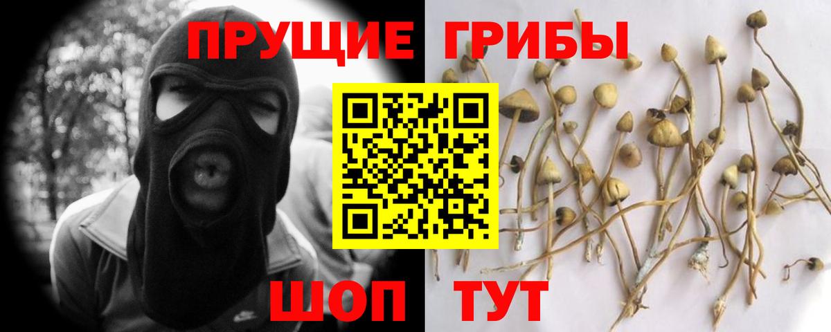 Псилоцибиновые грибы ЛСД  Вход с VPN  Галлюциногенные грибы Cubensis  продажа наркотиков  Михайловка 